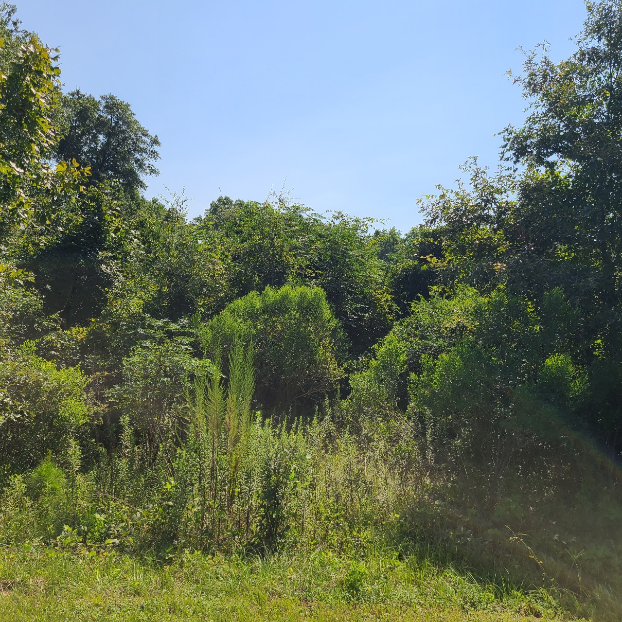 Versatile Property Use